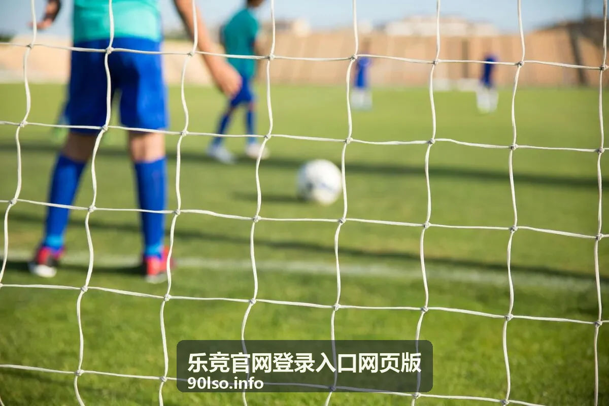 乐竞网页版登录流程预览图
